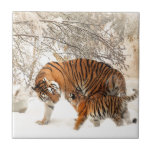 Azulejo De Cerâmica Mãe e bebê Tiger<br><div class="desc">Mãe e bebê Tiger</div>