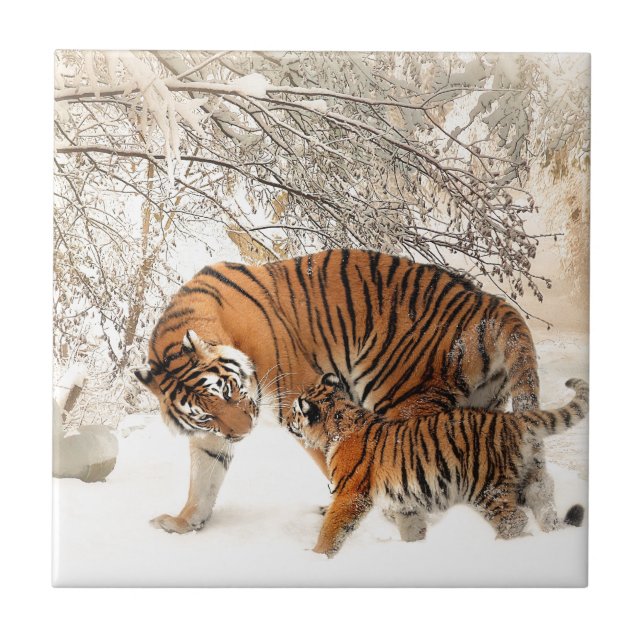 Azulejo De Cerâmica Mãe e bebê Tiger (Frente)