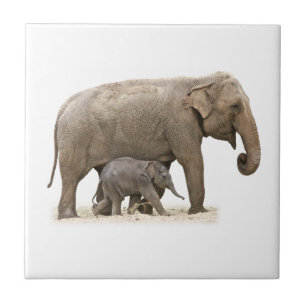 Azulejo De Cerâmica Mãe e Elefante Bebê