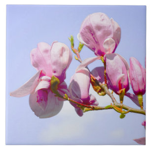 Azulejo De Cerâmica Magnolia Flores Flores Florais Blossom Botânico Ch