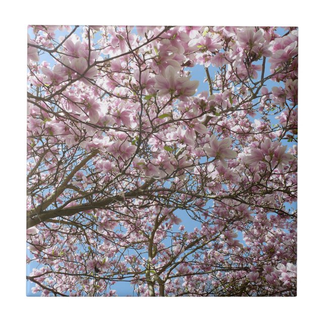 Azulejo De Cerâmica Magolia em abril (Frente)