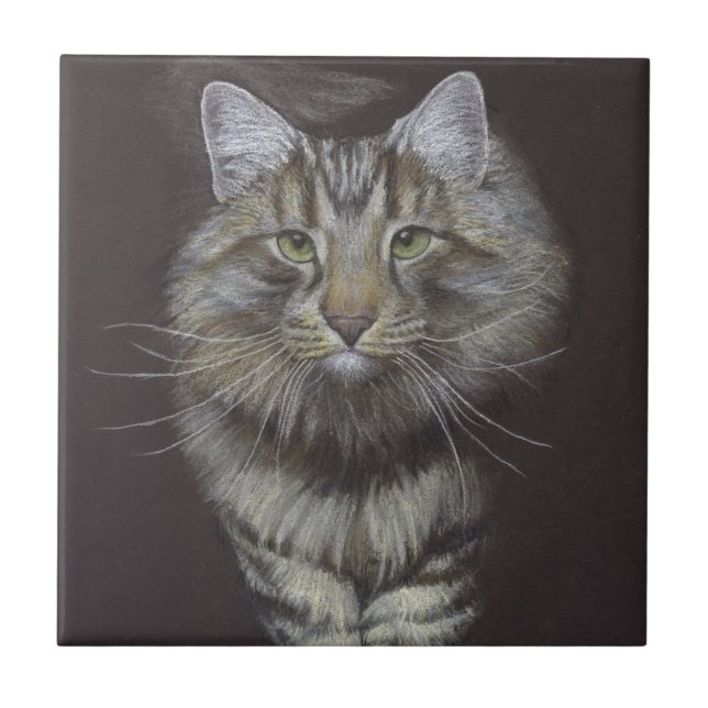 Azulejo De Cerâmica Maine Coon Cat (Frente)