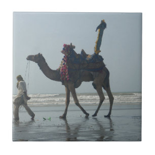 Azulejo De Cerâmica Majestade Masqat: Adorada Camel Beach Safari em Om