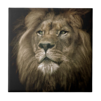 Azulejo De Cerâmica Majesty.jpg