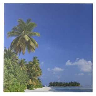 Azulejo De Cerâmica Maldives, atol de Meemu, ilha de Medhufushi