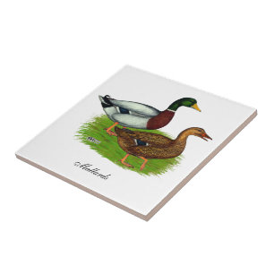 Azulejo De Cerâmica Mallard Drake e Duck