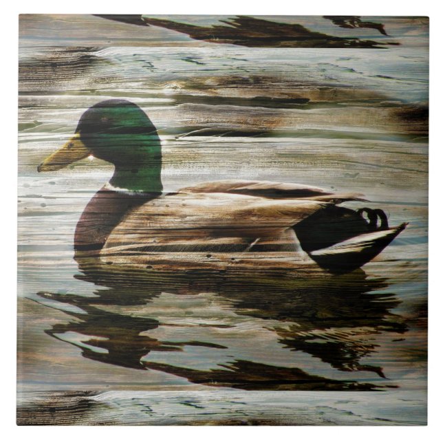 Azulejo De Cerâmica Mallard Duck (Frente)