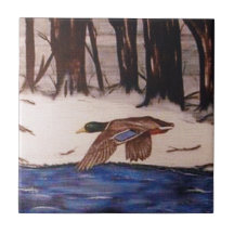 Mallard Duck em uma missão