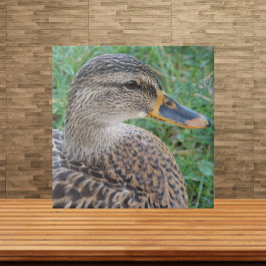Azulejo De Cerâmica Mallard Duck Hen Wildlife Foto