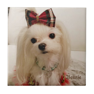 Azulejo de cerâmica maltês