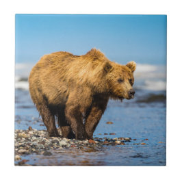 Azulejo De Cerâmica Mamãe urso observando seus dois filhos