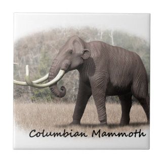 Azulejo De Cerâmica Mammoth Columbian
