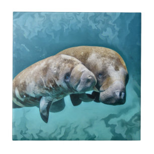 Azulejo De Cerâmica Manatees