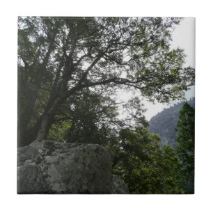 Azulejo De Cerâmica Manhã na trilha para as quedas vernais em Yosemite