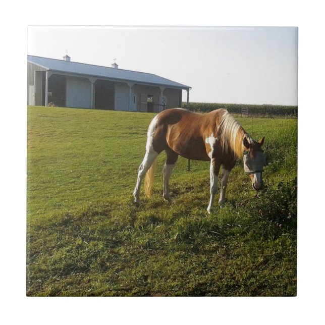 Azulejo De Cerâmica Manning Graze (Frente)