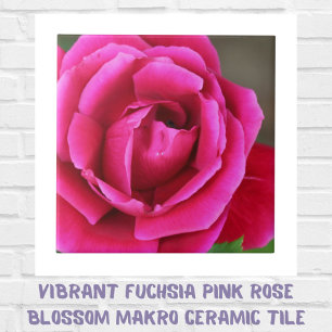 Azulejo De Cerâmica Manteiga-de-flor-rosa-rosa vibrante