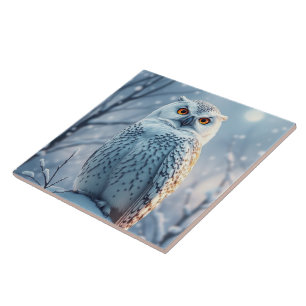 Azulejo De Cerâmica Mantenha a Coruja da Neve ou crie seu próprio desi