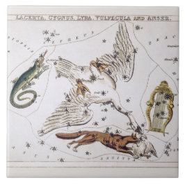 Azulejo De Cerâmica Mapa Astronômico Antigo de Lacerta, Cygnus, Lyra