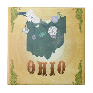 Azulejo De Cerâmica Mapa de Ohio com pássaros bonitos