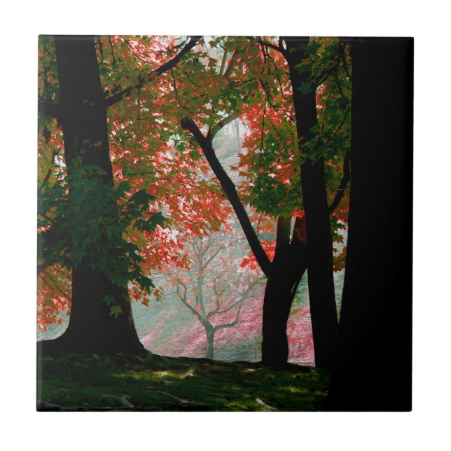 Azulejo De Cerâmica Mapeamento (Frente)