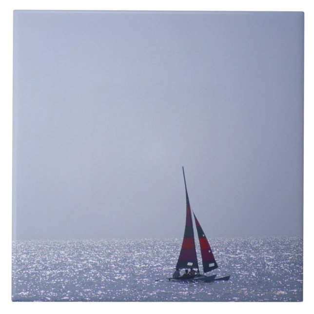 Azulejo De Cerâmica Mar 23 (Frente)