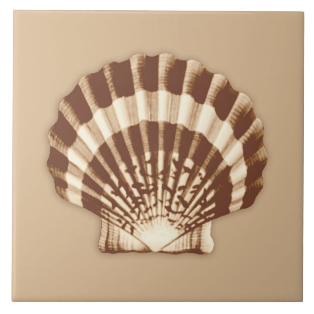 Azulejo De Cerâmica Mar Shell - marrom e bege (Frente)