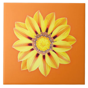 Azulejo De Cerâmica Margarida Africana/Gazânia - Laranja e Amarelo