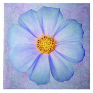 Azulejo De Cerâmica Margarida azul e violeta da cerceta na aguarela