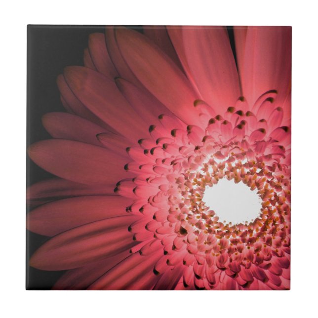 Azulejo De Cerâmica Margarida Gerbera (Frente)