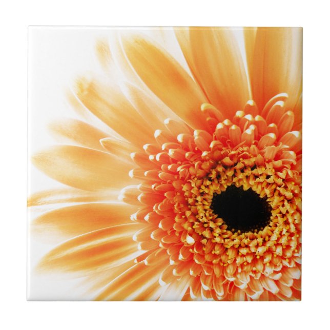 Azulejo De Cerâmica Margarida Gerbera (Frente)