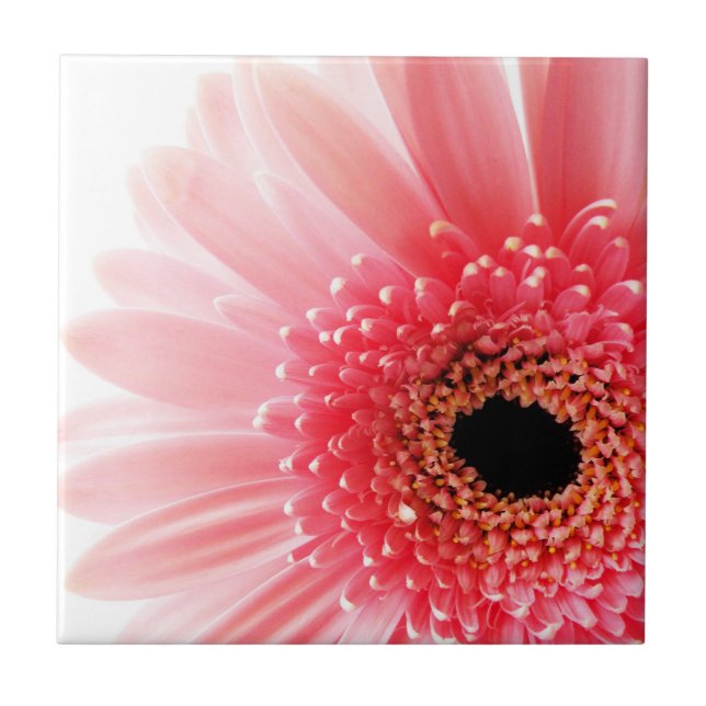 Azulejo De Cerâmica Margarida Gerbera Rosa (Frente)