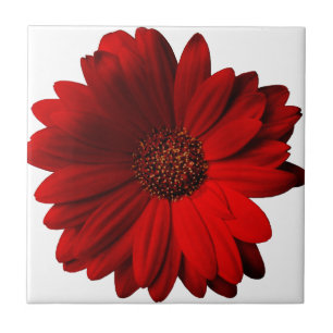 Azulejo De Cerâmica Margarida vermelha do Gerbera