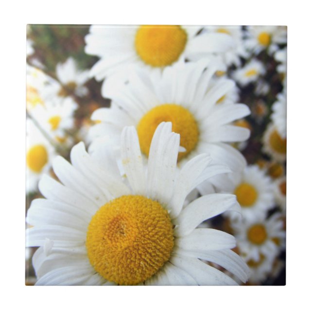 Azulejo De Cerâmica Margaridas (Frente)
