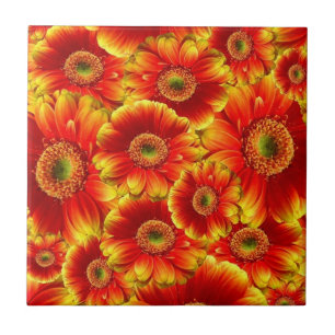 Azulejo De Cerâmica Margaridas de incandescência do Gerbera