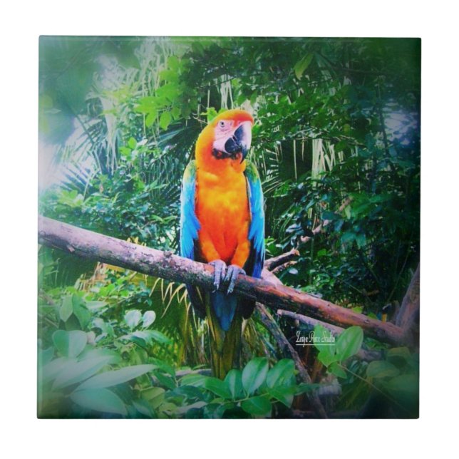 Azulejo De Cerâmica Martinique Macaw (Frente)