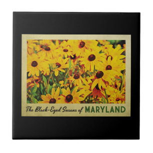Azulejo De Cerâmica Maryland Susans de olhos pretos