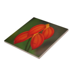 Azulejo De Cerâmica Masdevallia ignea Orquídea