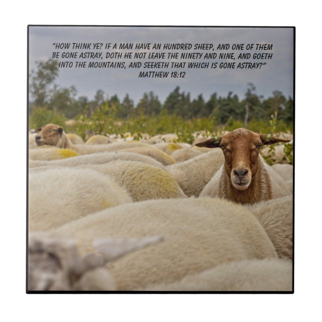 Azulejo De Cerâmica Mateus 18:12 (Frente)