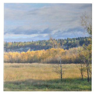 Azulejo De Cerâmica Meadow com Aspens