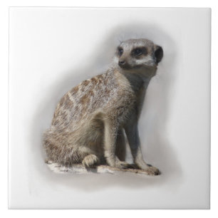 Azulejo De Cerâmica meerkat