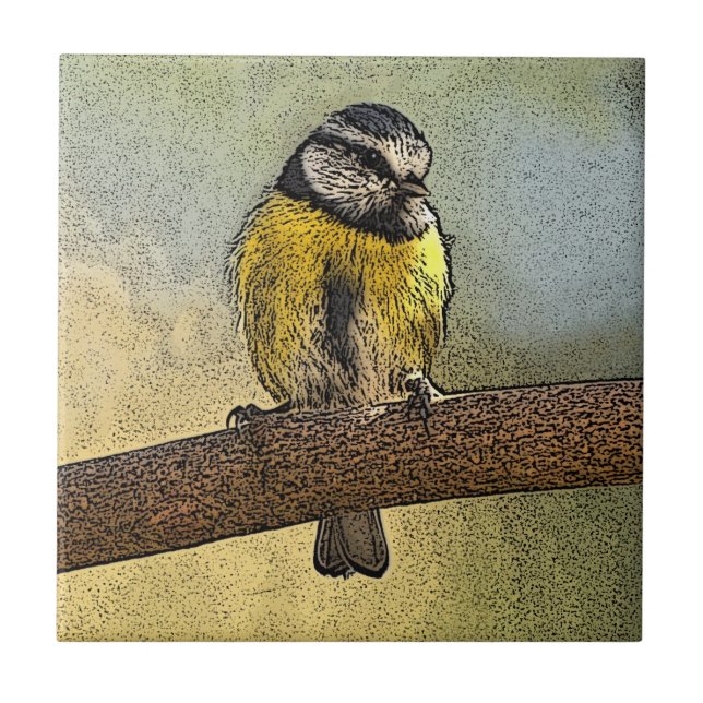 Azulejo De Cerâmica Melharuco azul europeu (Frente)