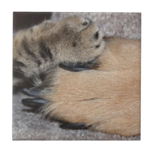 Azulejo De Cerâmica Melhores Amigos para sempre por Shirley Taylor