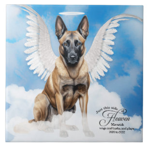 Azulejo De Cerâmica Memorial Personalizado Pet do Anjo Belga Malinois