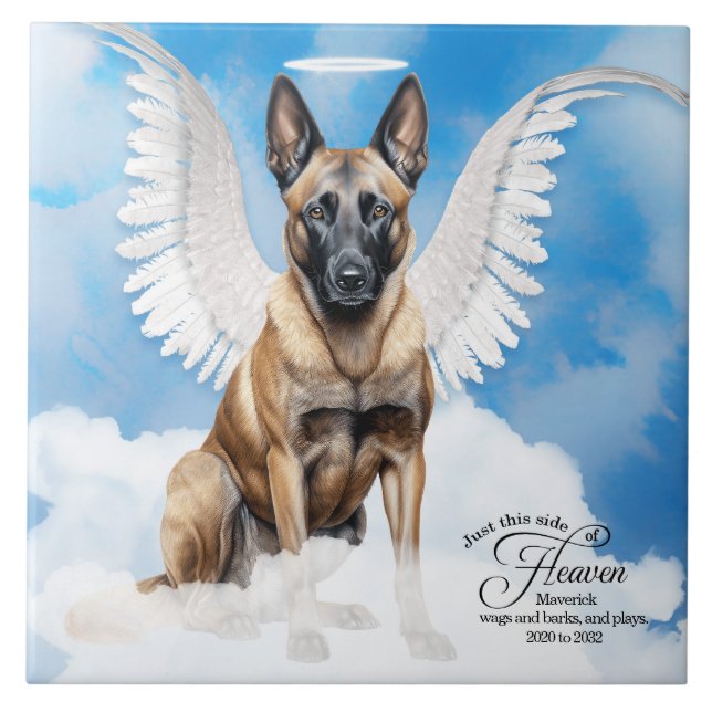 Azulejo De Cerâmica Memorial Personalizado Pet do Anjo Belga Malinois (Frente)