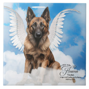Azulejo De Cerâmica Memorial Personalizado Pet do Anjo Tervuren Belga