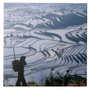 Azulejo De Cerâmica Menina Hani carregando cesto com terraço de arroz,
