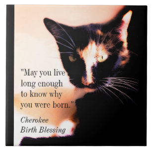 Azulejo De Cerâmica Mensageiro Cat