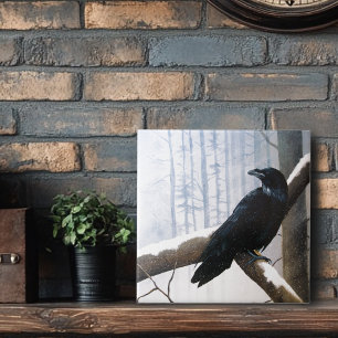 Azulejo De Cerâmica Mensageiro Raven Winter