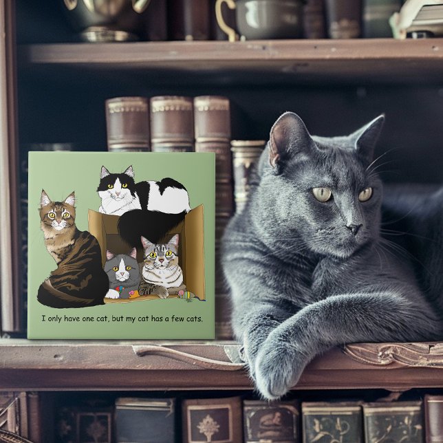 Azulejo De Cerâmica Meu gato tem gatos (Criador carregado)