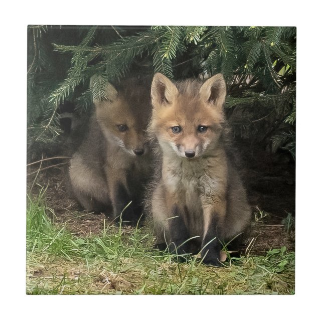 Azulejo De Cerâmica Meu Irmão (Frente)